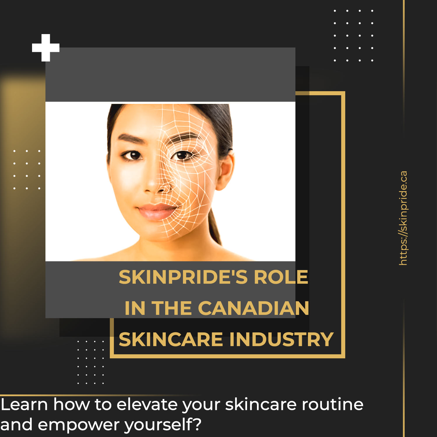 SkinPride has played a pivotal role in Canada's skincare industry.