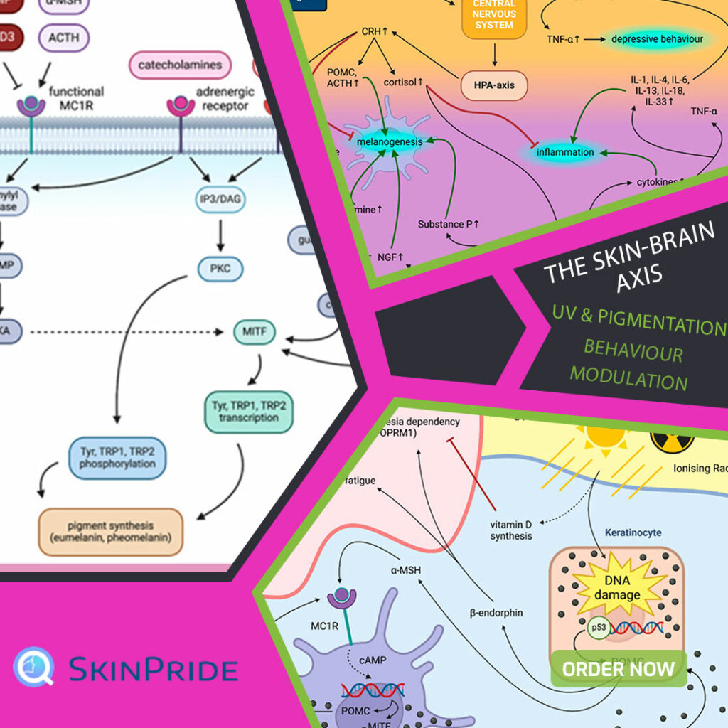 Illustration of the SkinPride app interface displaying personalized AI-driven skincare recommendations based on user skin analysis and mental well-being insights